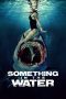 Movie poster: Something in the Water (2024)